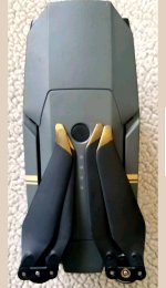 20180823_122233.jpg