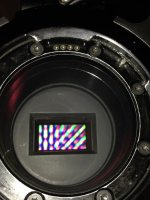 FullSizeRender.jpg