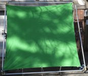 R green.jpg