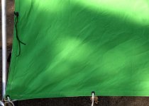 R green 2.jpg