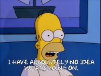 Simpsons_Homer_TP.jpg