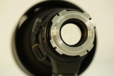 25435_0.jpg