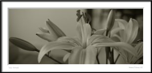 Click image for larger version Name: Views: 0 Size: 74.6 KB ID: 3795269 Click image for larger version Name: Views: 0 Size: 74.6 KB ID: 3795269