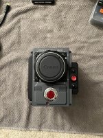 IMG_1198.jpg
