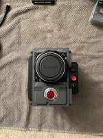 IMG_1198.jpg