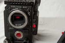 6X5A2802.jpg