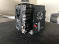 Red Raven IO Back.jpg