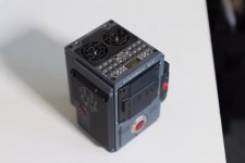 scarletw-5.jpg