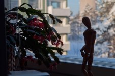 DSC_0001.jpg