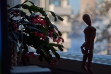 DSC_0002.jpg