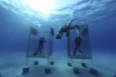 Tiger beach stills 078.jpg