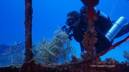 Cousteau @ Cayman.jpg
