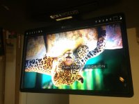 IMG_3880.jpg IMG_3880.jpg