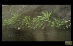 Screen Shot 2021-03-06 at 1.59.55 pm copy.jpg