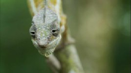 Screenshot 2021-03-07 at 08.50.04.jpg