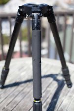 miller-4.jpg