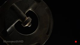 MHD_rCD8_vv0281x.jpg