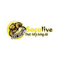 Socolivee